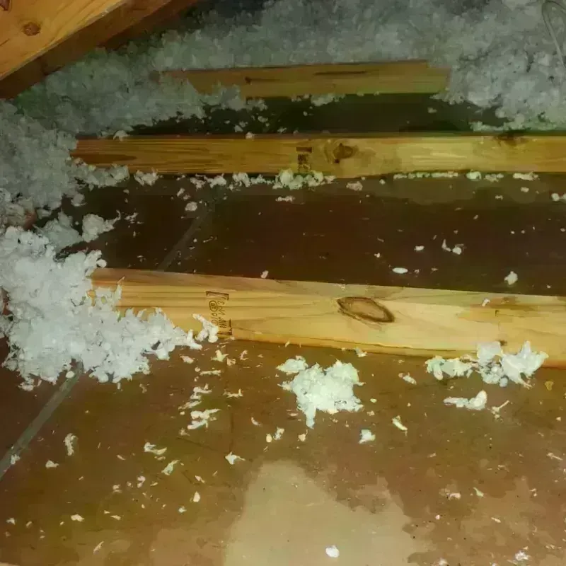 Attic Water Damage in Hyrum, UT